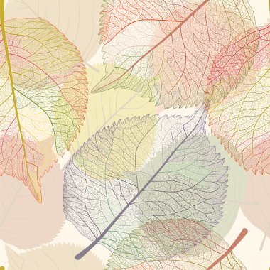 renkli sonbahar yaprakları.