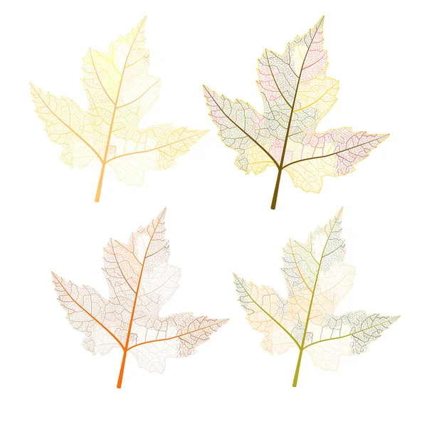 Bladeren herfst kleuren — Stockvector