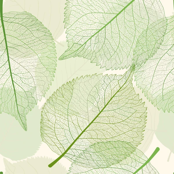 Fondo con hoja  . — Vector de stock