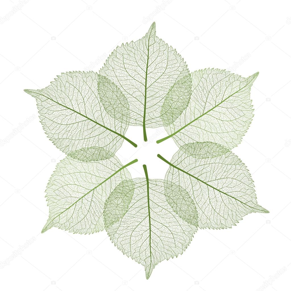 Background with leaf .