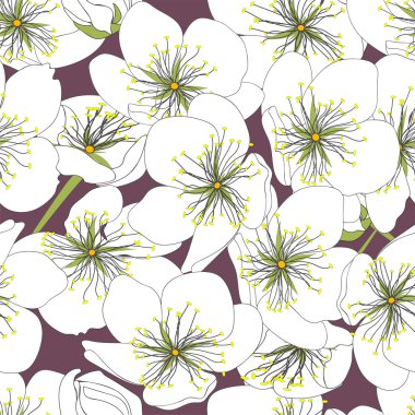 Güzel bahar çiçekleri.