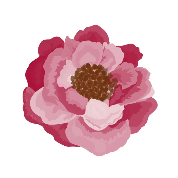 Fondo con rosas — Vector de stock