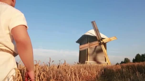 Man in the box looks at the mill — Αρχείο Βίντεο