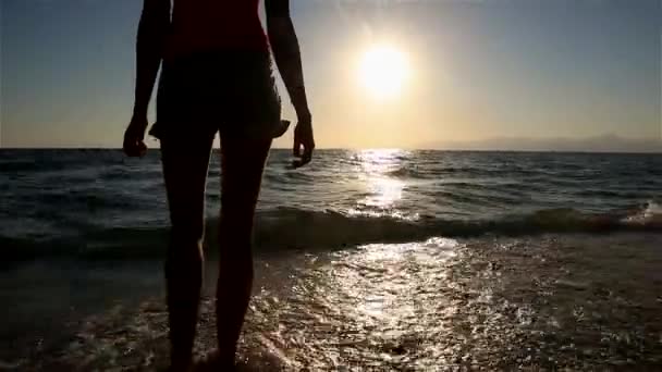 Κορίτσι στο ηλιοβασίλεμα κοντά στη θάλασσα — Αρχείο Βίντεο