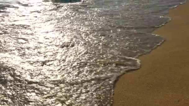 Le onde sulla spiaggia al tramonto — Video Stock