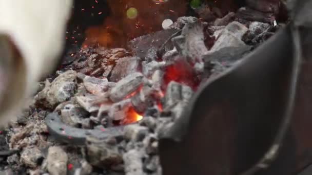 Herrero corrige carbones en un brasero y hostiga el fuego de la herradura — Vídeos de Stock