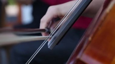 Yaylı enstrümanlar müzisyenler oyunundan.