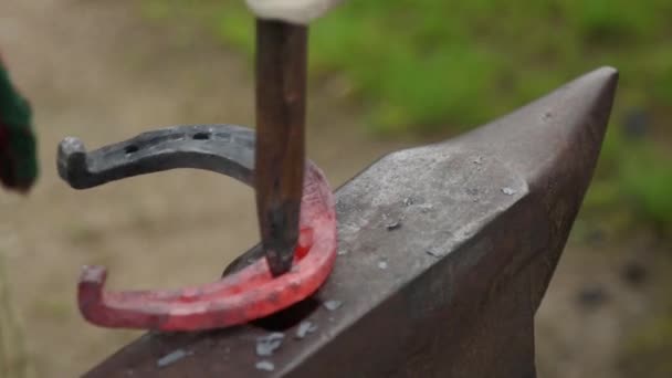 Smith makes a horseshoe on an anvil. — Stock Video