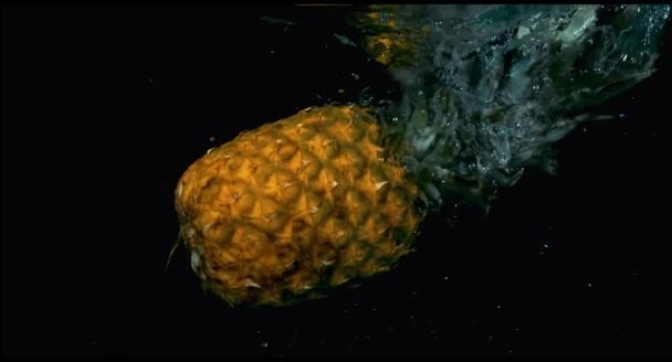 Pineapple in slow motion falling in the water — Stock Video