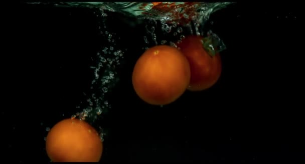 Pomidory w zwolnionym tempie pływające w wodzie — Wideo stockowe