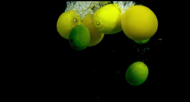 A víz a fekete háttér citrusfélék — Stock videók