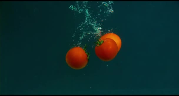 Tomatoes in slow motion floating in water — Stock Video