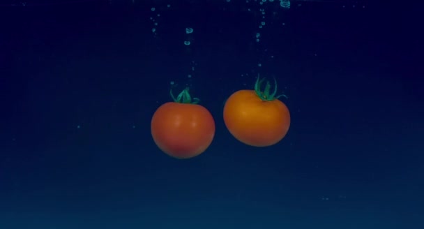 Tomaten in Zeitlupe im Wasser treiben — Stockvideo