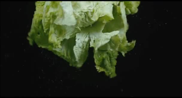 Leafy salad in slow motion — Stock Video