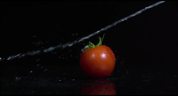 Tomato and water jet in slow motion — Stock Video