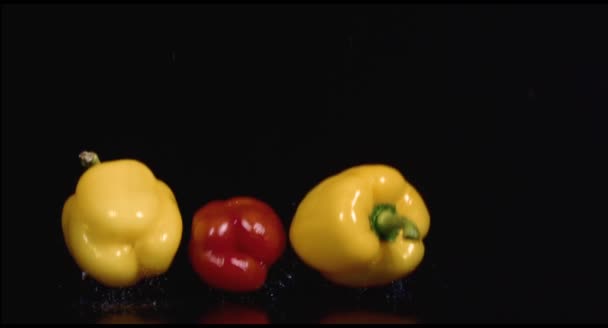 Colored peppers over white background — Stock Video