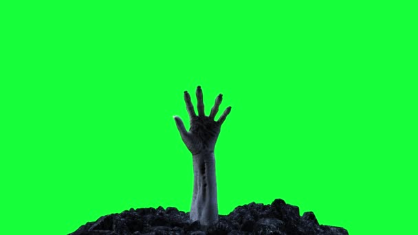 Zombie mano arrastrándose fuera del suelo en una pantalla verde — Vídeos de Stock