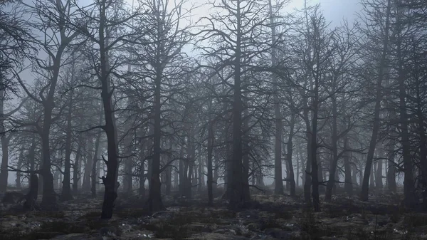 3D rendre l'animation de voler à travers une forêt effrayante — Photo