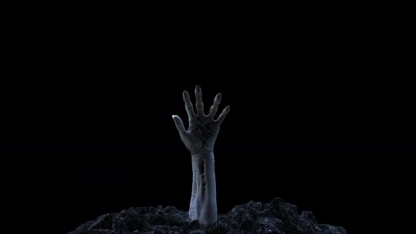 Zombi kéz mászik ki a földből alfa csatornával — Stock videók