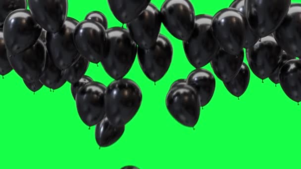 Fekete léggömbök a mennyezeten egy zöld képernyő háttér — Stock videók