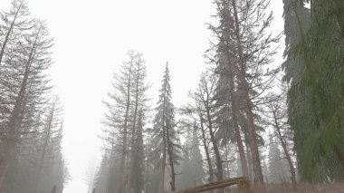 Gündüz sisli gizemli bir ormanın 3D görüntüsü