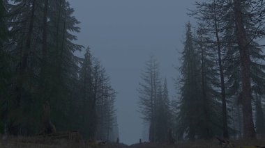 Gizemli ormanın gece sisli 3D görüntüsü.