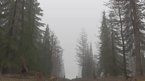 3D-Darstellung eines mystischen Waldes bei Tag im Nebel — Stockfoto