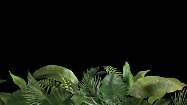 Siyah zemin üzerinde tropikal bitkilerin 3D oluşturma bileşimi