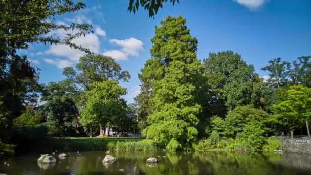 Tijdsverloop Van Paleistuin Hanau Duitsland Uitzicht Vanaf Vijver — Stockvideo