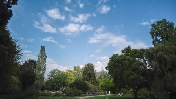 Marburg Almanya Daki Eski Botanik Bahçesinin Zaman Aşımı — Stok video