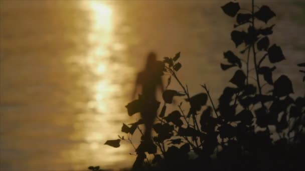 Kvinnan siluett på stranden vid solnedgången — Stockvideo