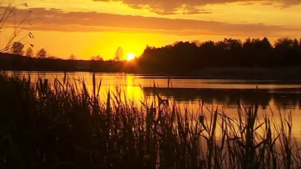 Zomer zonsondergang op rivier Timelapse — Stockvideo