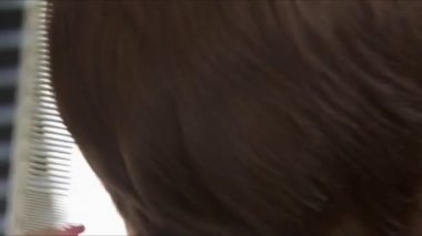 Kesme ve kadın saç tarama