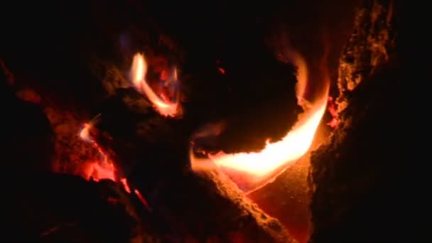 Ξεθώριασμα Campfire Closeup το βράδυ — Αρχείο Βίντεο