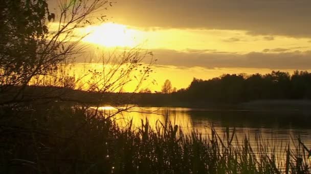 Solnedgång på floden — Stockvideo