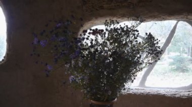 Bir buket çiçekler topraktan yapılmış çevre dostu ev içinde Panoraması