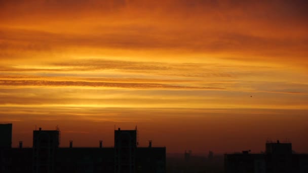 Strahlend orangefarbener Sonnenaufgang in der Stadt — Stockvideo