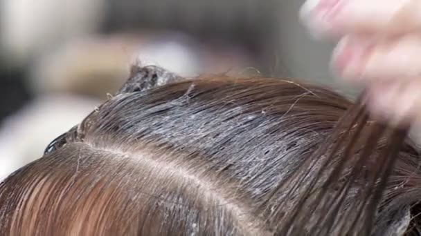 Εφαρμόζουν βαφή να το Closeup σκοτεινά θηλυκό Hair1 — Αρχείο Βίντεο