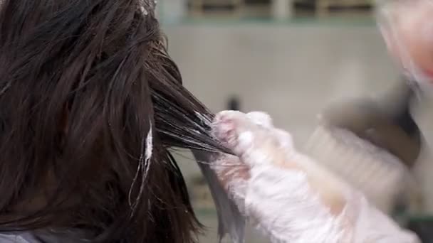 Toepassing kleurstof op de vrouw haargroei close-up — Stockvideo