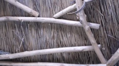 Reed çatı iç tarafında