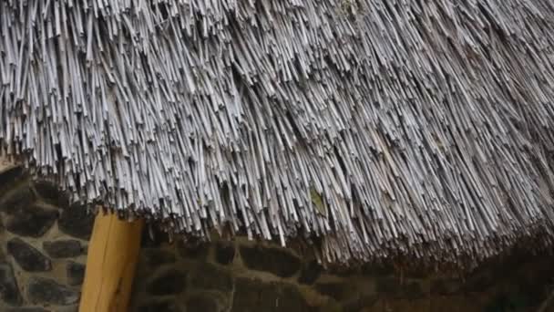 Střecha z rákosí v ekologické vesnici Closeup — Stock video