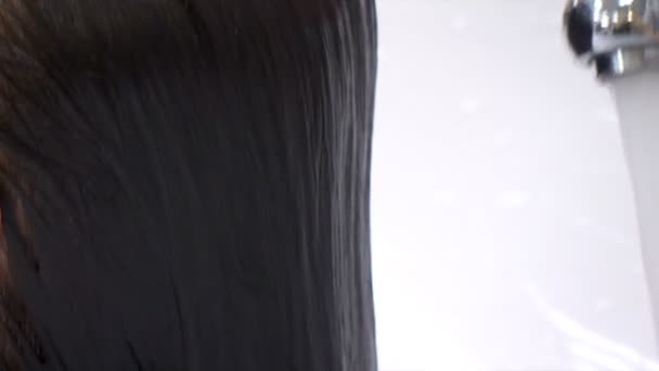 Cabeleireiro Lavagem Cabelo Feminino Escuro — Vídeo de Stock