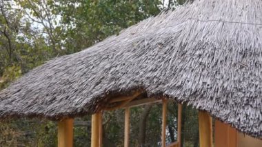 Ekolojik köy sazlık çatısı