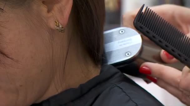 Peluquería recorta el cabello femenino con esquiladora — Vídeo de stock