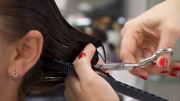 Schneiden dunkler weiblicher Haare im Friseursalon — Stockvideo