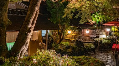 Japonya 'daki bahçe 