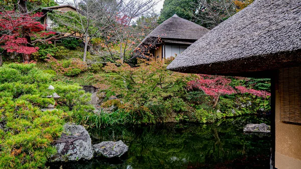 Japonya 'daki bahçe 