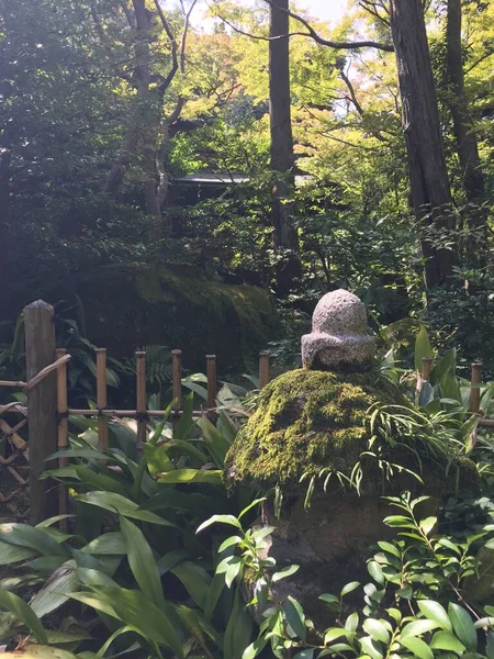 Zen, fridfull utomhus japansk trädgård — Stockfoto