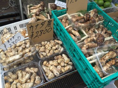 Tsukiji balık pazarı. Yüksek kalite fotoğraf