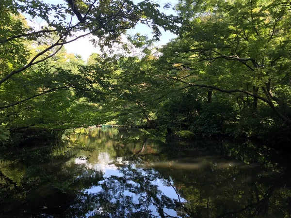 Zen, friedlicher japanischer Garten im Freien — Stockfoto
